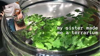 my sister made me a terrarium :) by bunch of brunners  108 views 2 years ago 4 minutes, 9 seconds