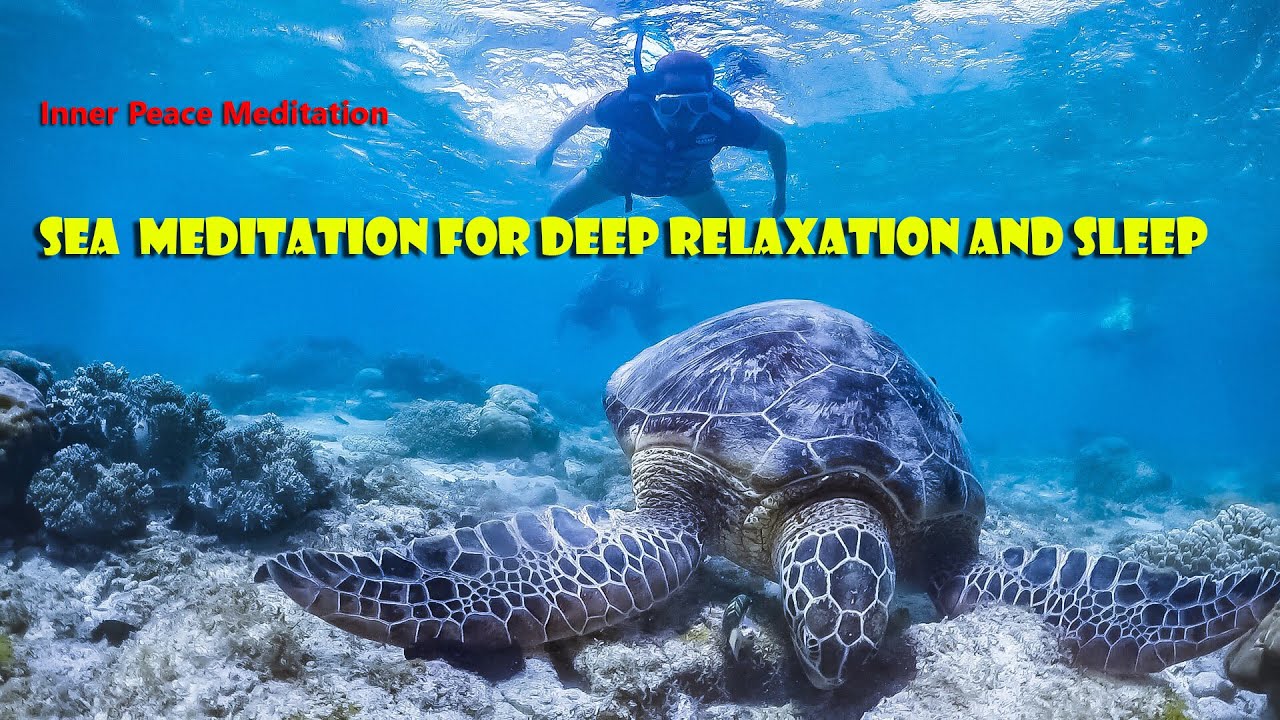 Meditation with the Open Sea Deep Underwater Relaxing Sleep Music in