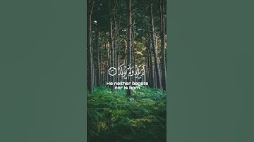 القارئ: هاني الرفاعي          #quran #allah #islam #explore #islamic #islamicstatus