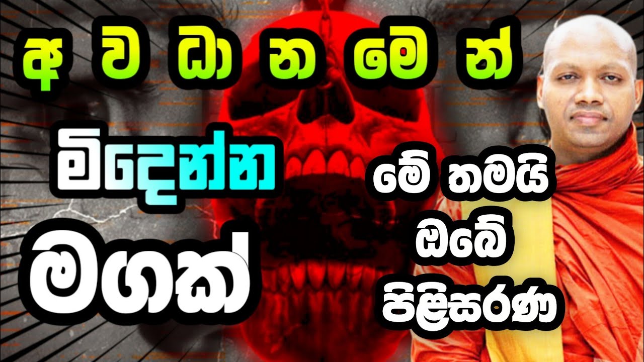 මේ තමයි ඔබේ පිළිසරණ | Hasalaka Seelawimala Thero | හසලක සීලවිමල  | 