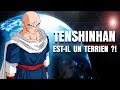 Tenshinhan estil un terrien 