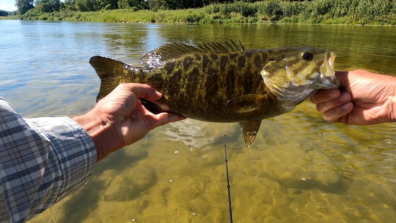 Fishing for big river Smallmouth Bass
