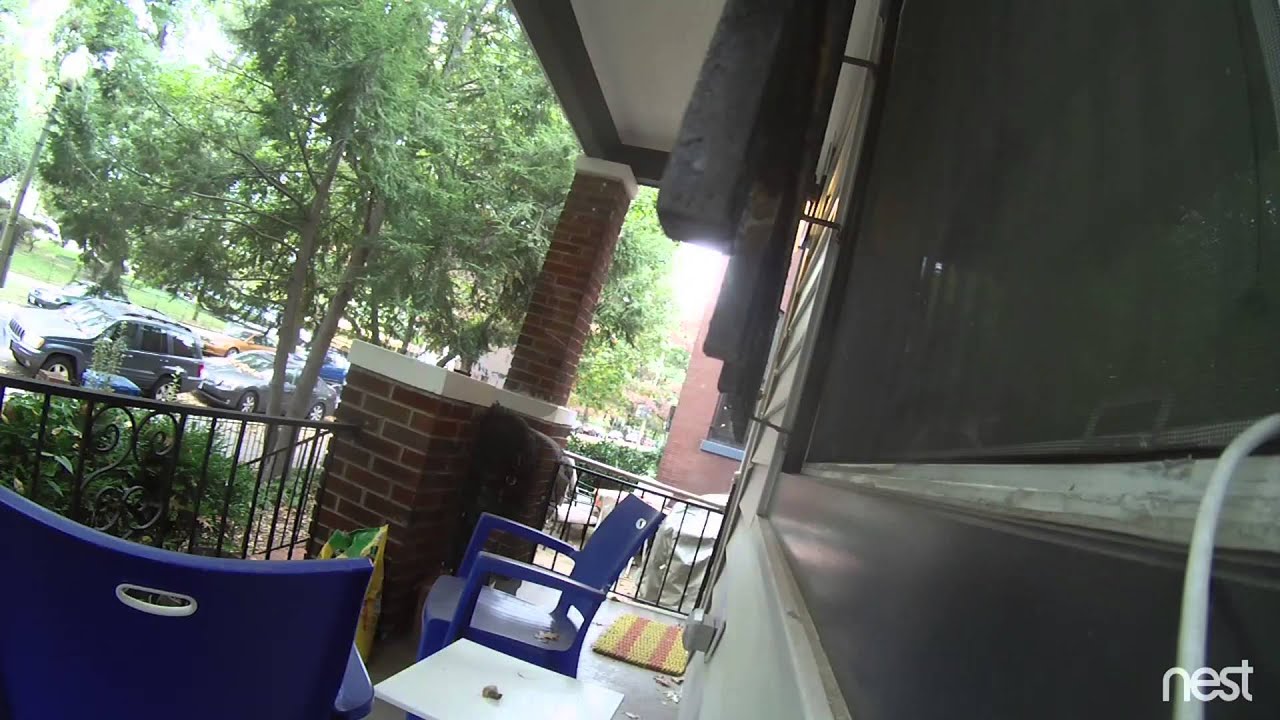 Person of Interest in Theft II, Unit b/o 14th St, SE, on October 27, 2015 videos for cats