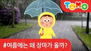 유아 안전교육 여름에는 왜 장마가 올까? - TOMO 토모키즈