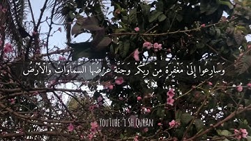 تلاوة ميسرة من سورة آل عمران "وسارعوا الى مغفرة من ربكم.." بصوت القارئ الشيخ احمد النفيس.