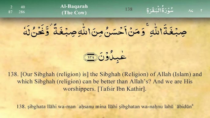 tukli etuk mushuklar