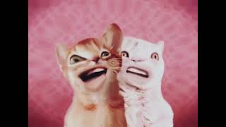 (preview) singing cat (numa cat) faster screenshot 5