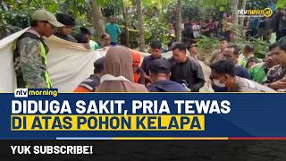 Tragis! Pria Meninggal di Atas Pohon saat Petik Kelapa, Proses Evakuasi Dramatis | NTV MORNING