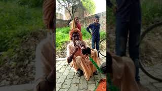 Nagin Dhun By Sapera (Snake Charmer)