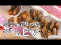 栄養満点デュビアフードのご紹介