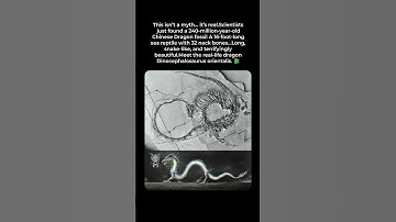 🐉 Real-Life Chinese Dragon Found in China!