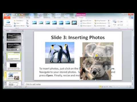 creating a multimedia presentation about your favorite element