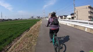 初心者でも50km走れるよ！ 水源公園〜大山緑地　サイクリング！