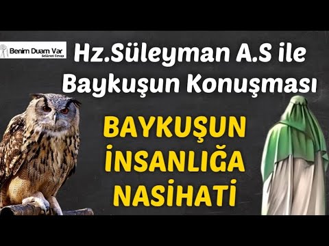 Hz.Süleyman A.S İle Baykuşun Konuşması BAYKUŞUN İNSANLIĞA NASİHATİ