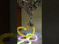 Attempting a Heart Shape with Hungry Honeybees