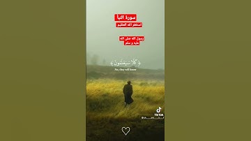 سورة النبأ راحة نفسية قران كريم ❤️