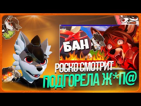 🐺 Роско смотрит Alex Dingo - 💀👌 А МНЕ ФУРРИ СИСЬКИ ДОРОЖЕ КАНАЛА | ЮТУБ З-Л МЕНЯ за ПУРРИ ФОРНУШКУ
