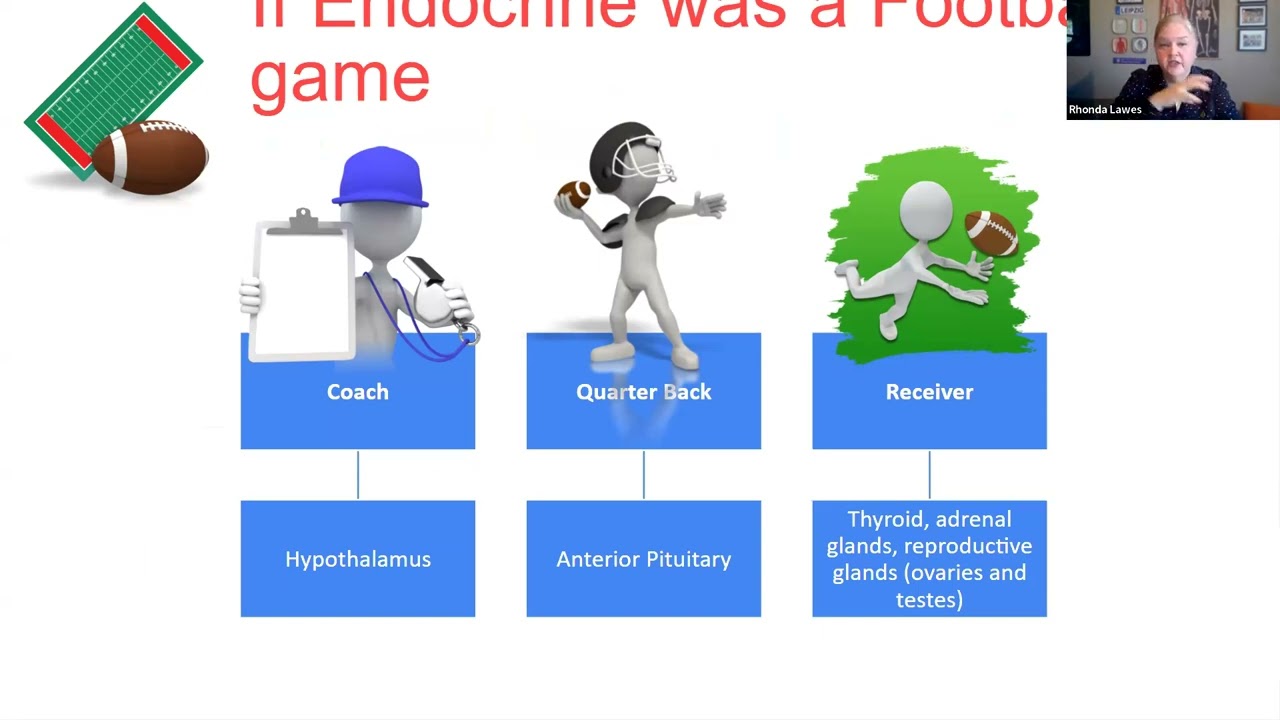 From Frightening to Fantastic: Advanced Pharm Mastery