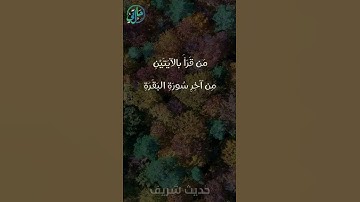 حديث شريف - من قرأ بالآيتين من آخر سورة البقرة l حالتي الدعوية