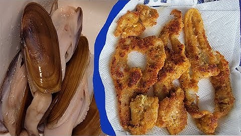 Oregon Razor Clamming   Catch and Cook   Clam Diggin on A Beach
