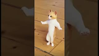 Cat dancing | #funny#shorts #cats | قط يرقص ببراعة | قطة ترقص على هيصه هيصه تموت ضحك 