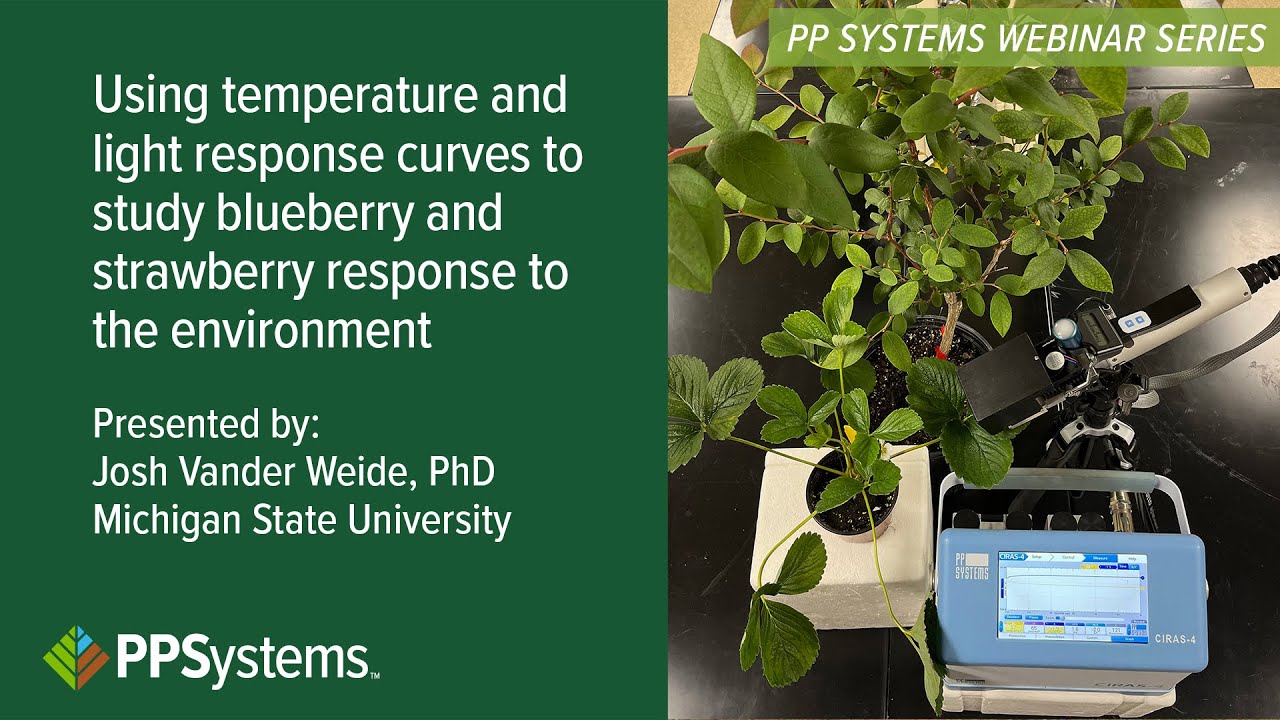 Using temperature & light response curves to study blueberry/strawberry response to the environment