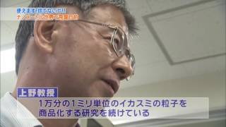 イカのマチ函館・捨ていた部分活用で醤油やインク、化粧品まで　2016年9月11日放送③