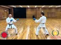 Reactions To Pressure And Feints By Watanabe Sensei Kumite Shotokan