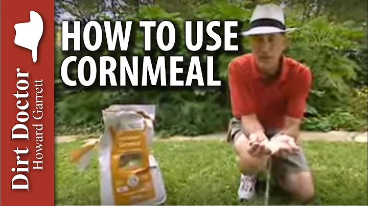 How To Use Cornmeal - The Dirt Doctor