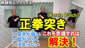 正拳突き Youtube
