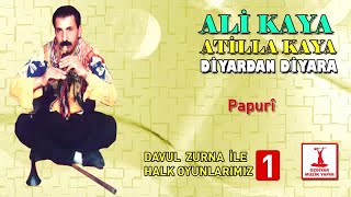 Ali Kaya - Papurî Resimi