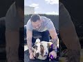 The Moment He Melts Into His New Dad's Arms 😭❤️ | The Dodo