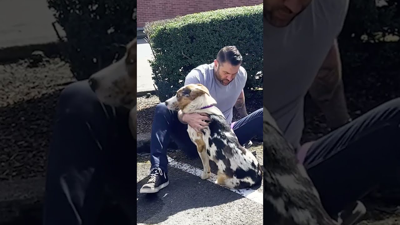 The Moment He Melts Into His New Dad S Arms Dodo