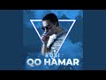 Qo hamar