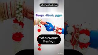 #tarot #tarotcaards #tarotreading #mesham #simam #thanush #shorts #shortsviral