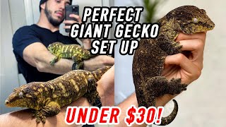 The Perfect Leachie Enclosure!
