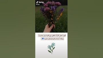 اللهم اجعل القرآن العظيم ربيع قلوبنا (القرآن الكريم )