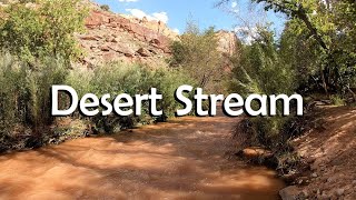Calming Desert Stream in 4K - Relax by the Water in the Heat of the Day