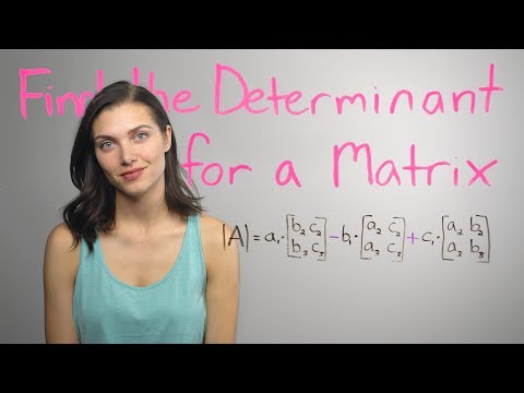 ❤︎² Matrix Determinants..