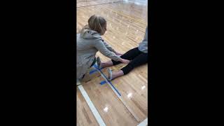 V Sit and Reach Test