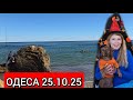 ЛА КАМБАЛА - ПЕРЕВІРКА БЕЗБАР'ЄРНОСТІ ❗БУЛЬДОГ РATTY ❗