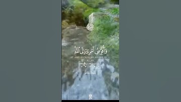 سورة غافر الآية 44📖🙏🏽 قرآن كريم