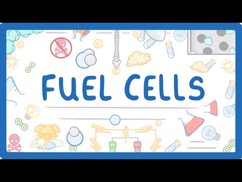 فيديو: ما هي خلايا GCSE؟