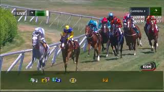 Vidéo de la course PMU PREMIO USUAL