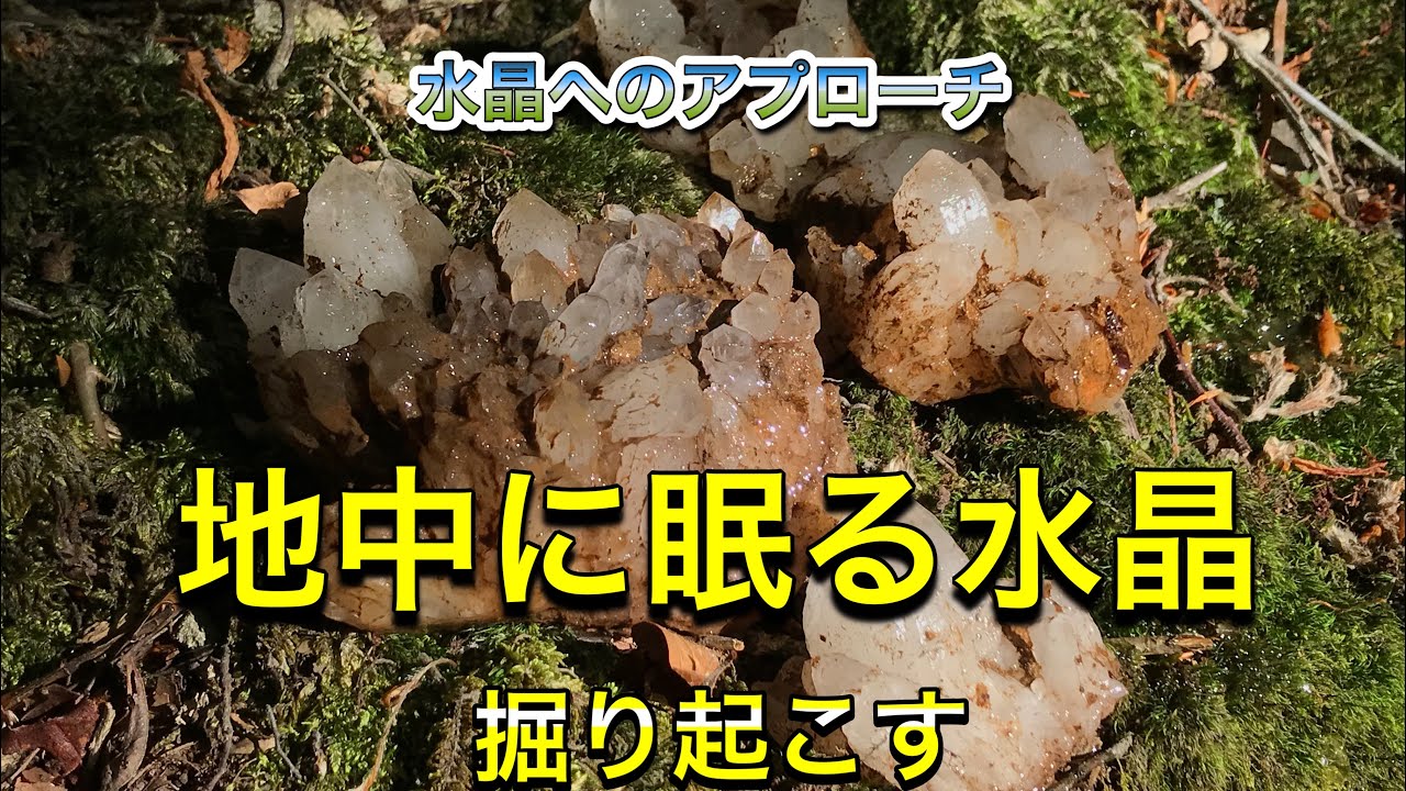 鉱物採集　水晶の探し方　～地中のガマを追って掘る