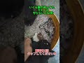 いくら腹が減っても、マナーは守らないとね(笑)