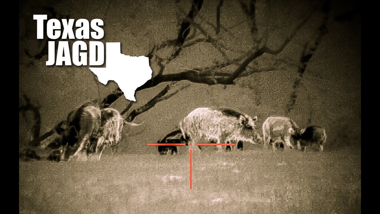 BEST HOG HUNTING EVER - WILD BOAR ADRENALINE - YouTube