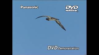 1996 Panasonic DVD Demo segment- Tahiti