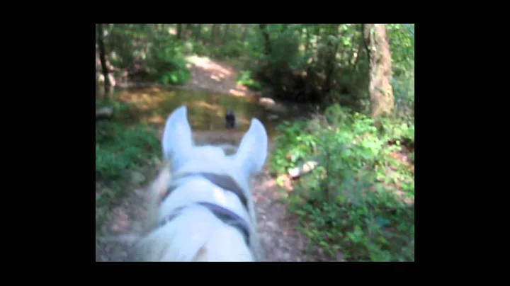 Nabil's Trail ride in Training, June 18, 12 miles