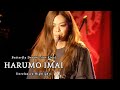 Harumo Imai "Butterfly Dream Tour Final at BLUES ALLEY JAPAN" - Unreleased Highlights